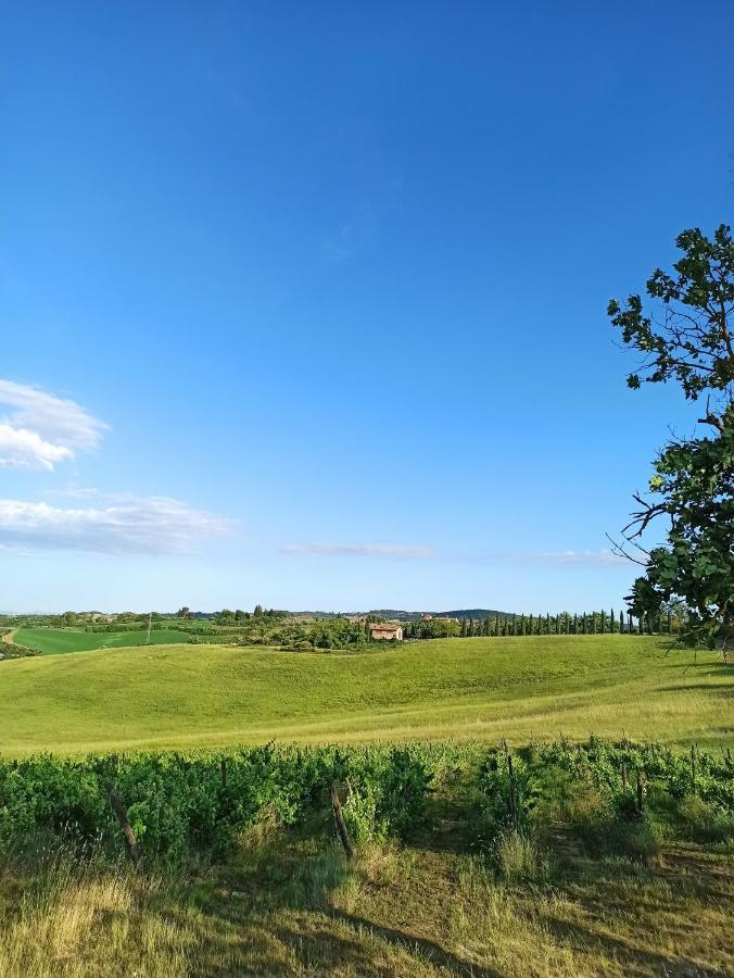 Villa Podere Cartaio Bio Estate Pool Airc 산로코아필리 외부 사진